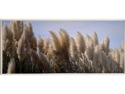 Obraz "Pampa" - tisk na plátno vložené do MDF rámu, 134x59cm