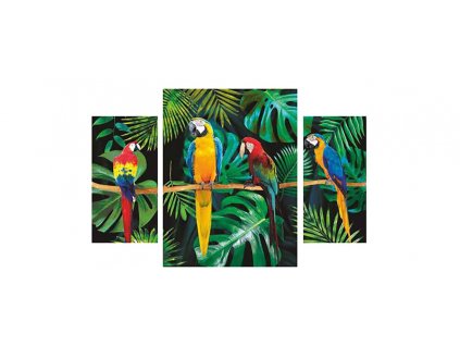 Sada obrazů 3dílná "Papoušci" 70x50cm