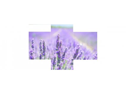 Sada obrazů 3dílná "Levandule" 42x30cm