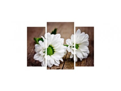 Sada obrazů 3dílná "Bílý květ" 70x50cm