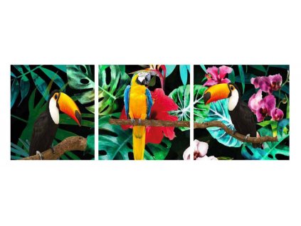 Sada obrazů 3dílná "Papoušci" 90x30cm