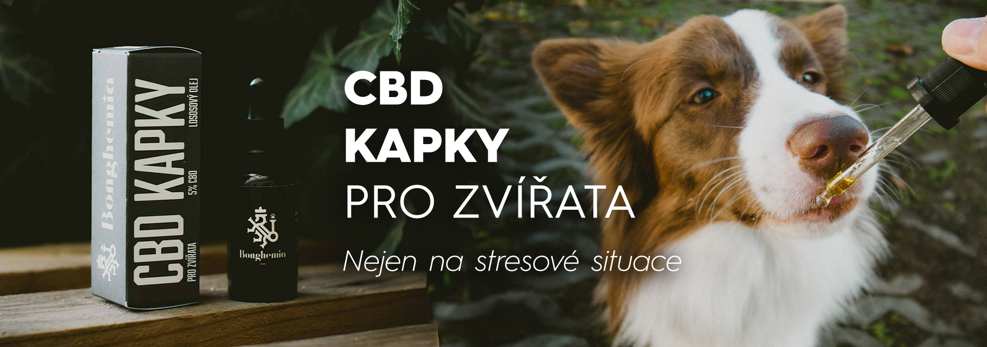 CBD oleje pro zvířata na stresové situace