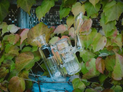 glass bubbler bong phoenix star