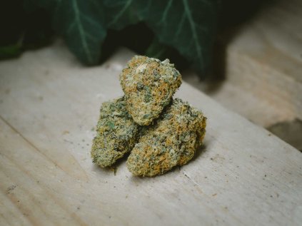 premium indoor cbd hemp