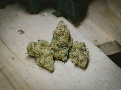 Lemon Pop Czech indoor weed