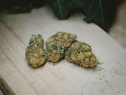 CBD indoor premium Brno Praha Hradec