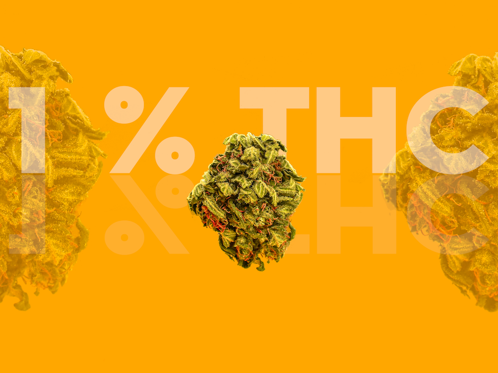 Zvedá se limit THC na 1 %!