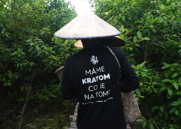 Kratom v Česku: jak je to s legalitou v roce 2026