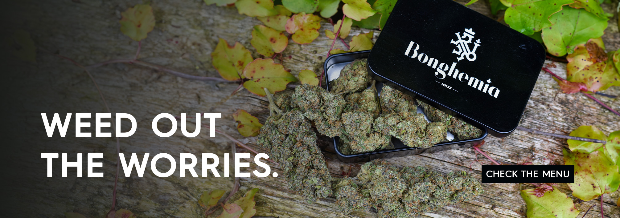 cbd strains bonghemia