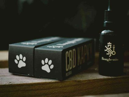 cbd olej pro psy