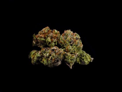 Bonghemia CBD s 0,2% THC