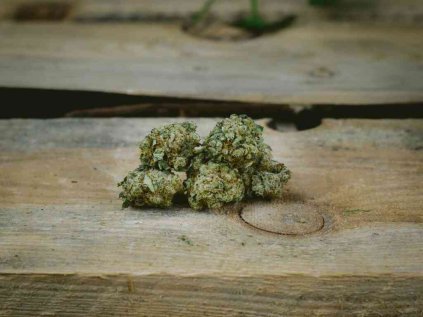 CBD květ Ivory 3 g — střední balení jemně aromatických paliček, cca 13 % CBD