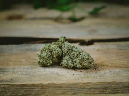 CBD květ Bubblegum Bonghemia — indoor české sušené konopí s intenzivně sladkým aroma žvýkačky a ovocnými tóny