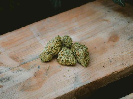 cbd konopí thc cbd brno praha hradec králové