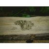 White Maeng Da Kratom Bonghemia — vysoce kvalitní bílý kratom z odrůdy Maeng Da