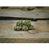 Ivory CBD květ Bonghemia — indoor sušené české konopí s jemně sladkým aroma a ≈13 % CBD