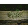 White Borneo Kratom Bonghemia — svěží bílý kratom z ostrova Borneo
