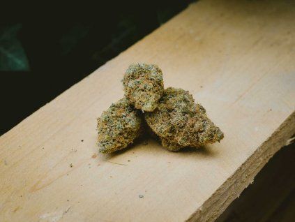 cbd premium konopí