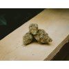 cbd premium konopí