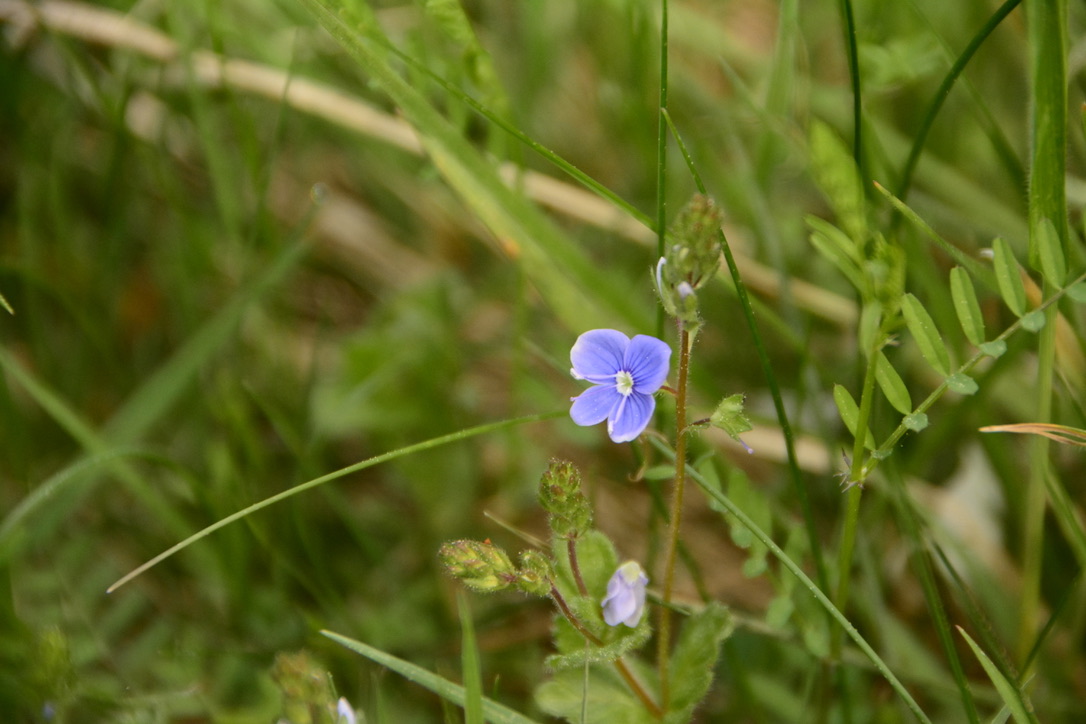 44D48B46-DA1F-4309-9A4C-D69A374F6366_1_105_c