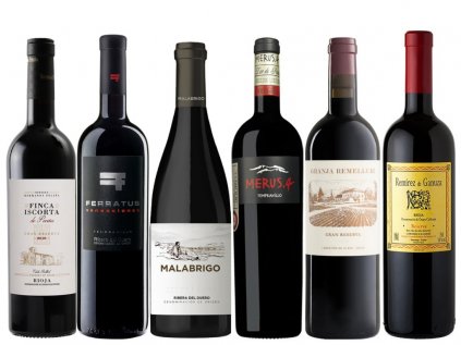Vinos Unicos unikátní set španělských vín