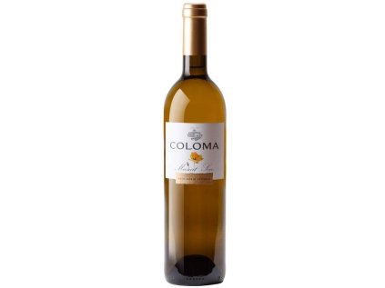 coloma muscat