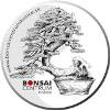 Bonsai centrum Košice