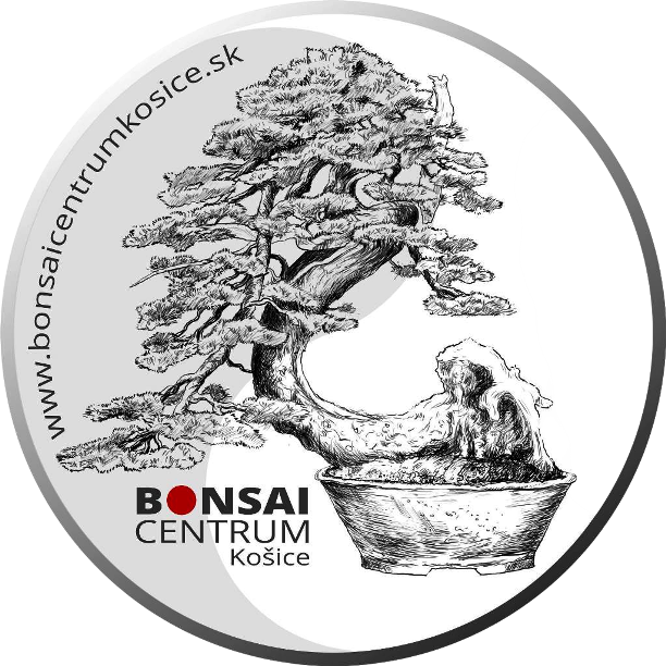 Bonsai Centrum Košice