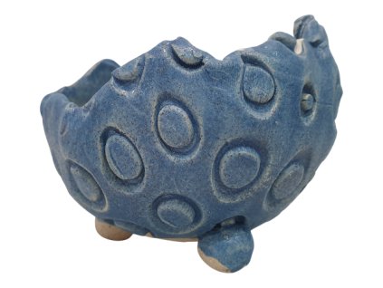 Škrupinka pre doplnkovú rastlinu