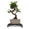 Plastový stolík pod bonsai  18 x 12 x 3,5 cm