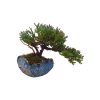 Juniperus horizont.Icee Blue - Borievka rozprestretá  SK 3344-95