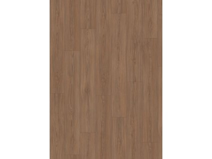 el2153 st61 classic wv4 frontal 10de flo