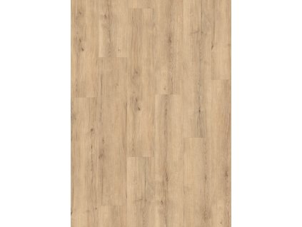 edf205 std8 large wv4 frontal 10de flo