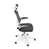 BONTEC Kancelárska stolička, hojdací mechanizmus, šedá sieťovina, KA-Q843 GREY (Farba Šedá)
