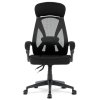 BONTEC Kancelárska stolička, hojdací mechanizmus, čierna sieťovina, KA-Y309 BK (Farba Čierna)