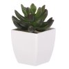 BONTEC Sukulent v bielom plastovom obale - umelý, zelený (Farba Zelená)