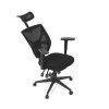 BONTEC Kancelárska stolička, synchronný mechanizmus, čierna, KA-Q8250 BK (Farba Čierna)