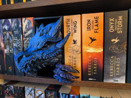Sárkányfej booknook