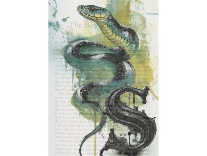 Your paragraph text (1)