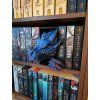 Dragon Head booknook