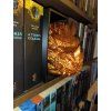 Bronze dragon head booknook