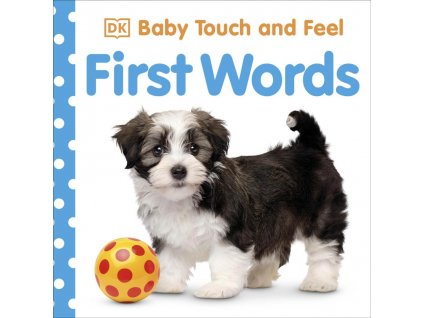 Baby Touch and Feel First Words 1