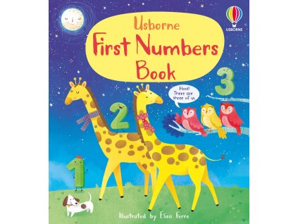 First Numbers Book 1