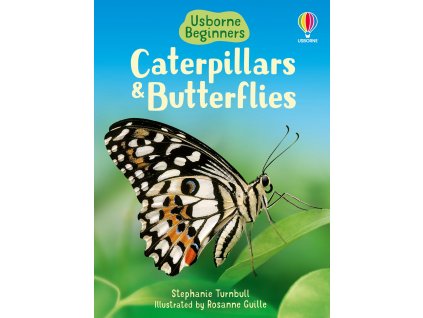 Caterpillars & Butterflies
