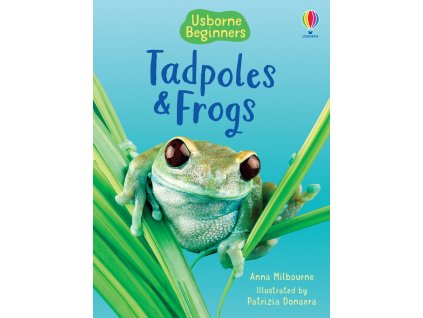 Tadpoles and Frogs 1