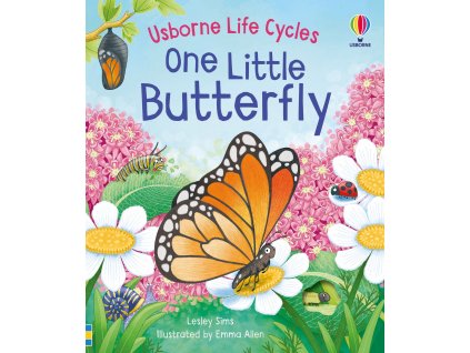 Life Cycles One Little Butterfly 1