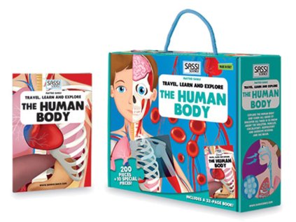 The Human Body 1