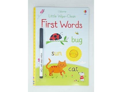 Little wipe clean first words