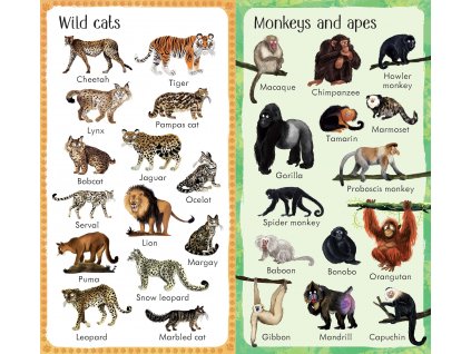 199 ZOO Animals