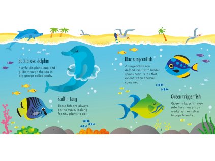 Under the Sea Matching Games